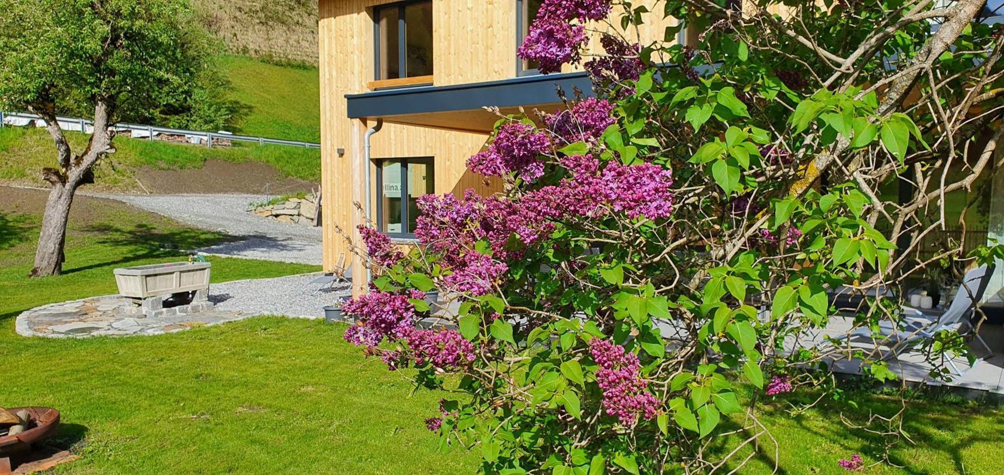 Вілла Haus Valtellina Galgenul Екстер'єр фото